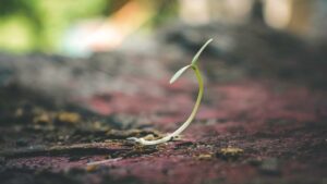 5 steps towards post-traumatic growth for physicians