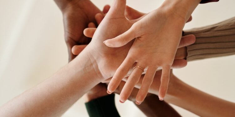 physician peer support programs