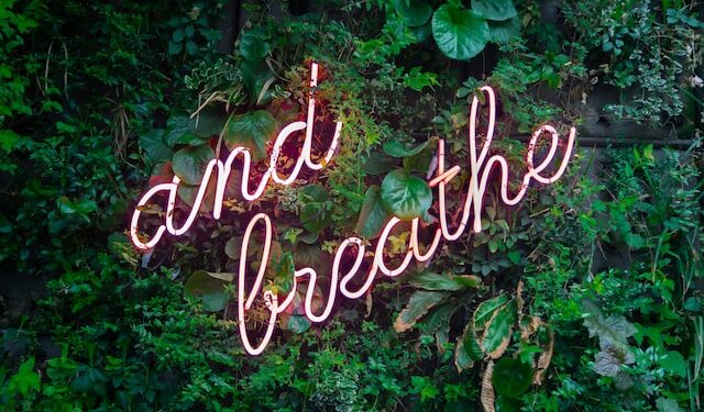 physician self care